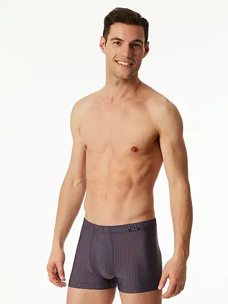 SCHIESSER | Pants admiral | grau